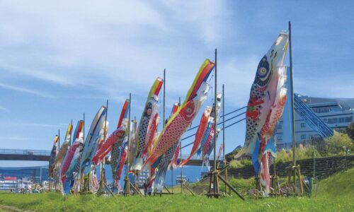 第42回 沼津こいのぼりフェスティバル開催概要
