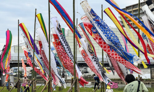 沼津こいのぼりフェスティバル 開催